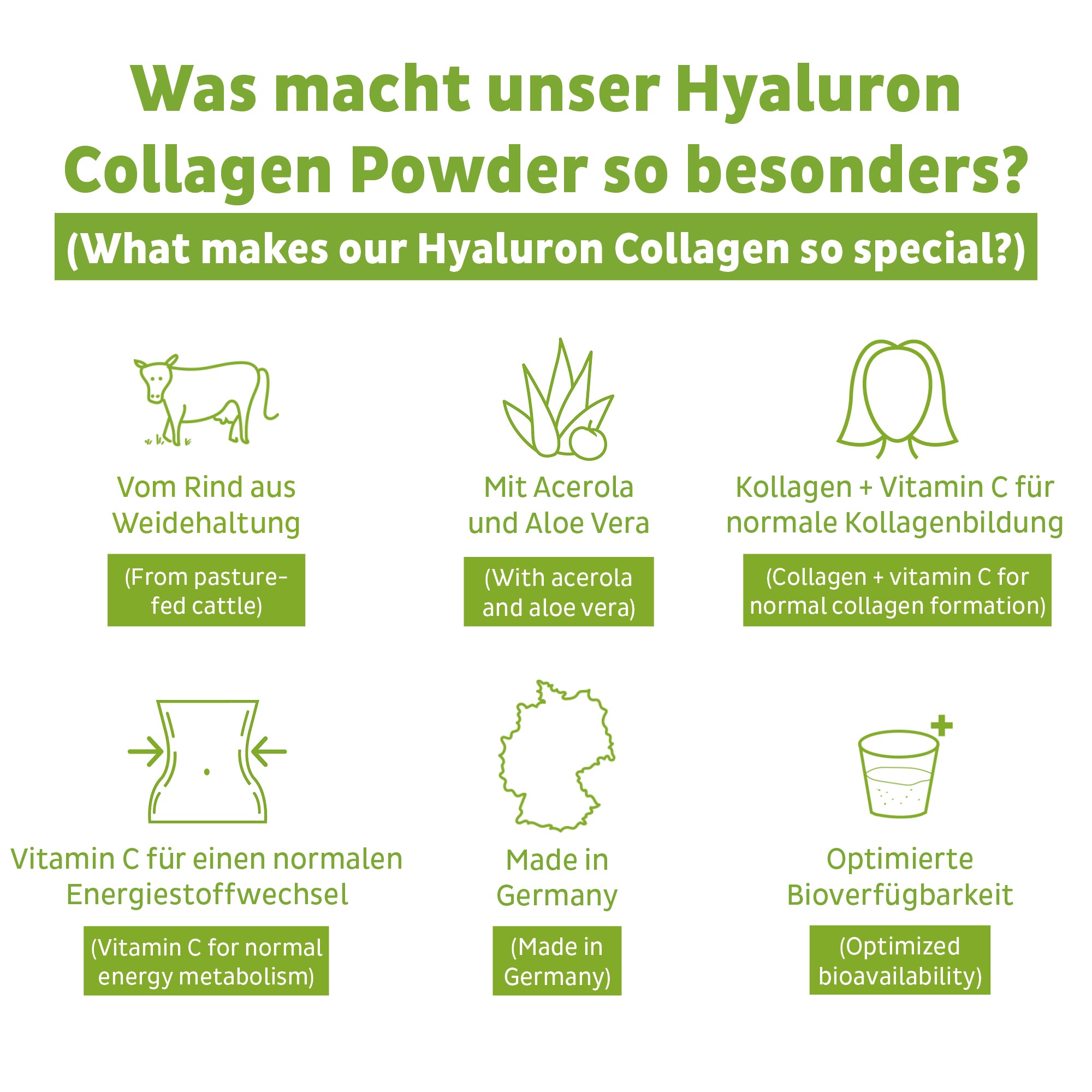 Colágeno Hyaluron en polvo