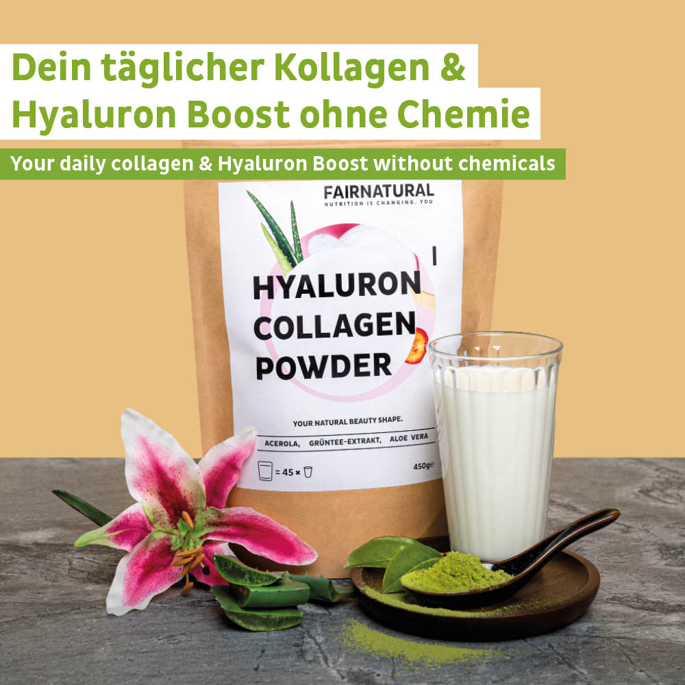 Colágeno Hialurónico en Polvo 3-Pack (1350g)