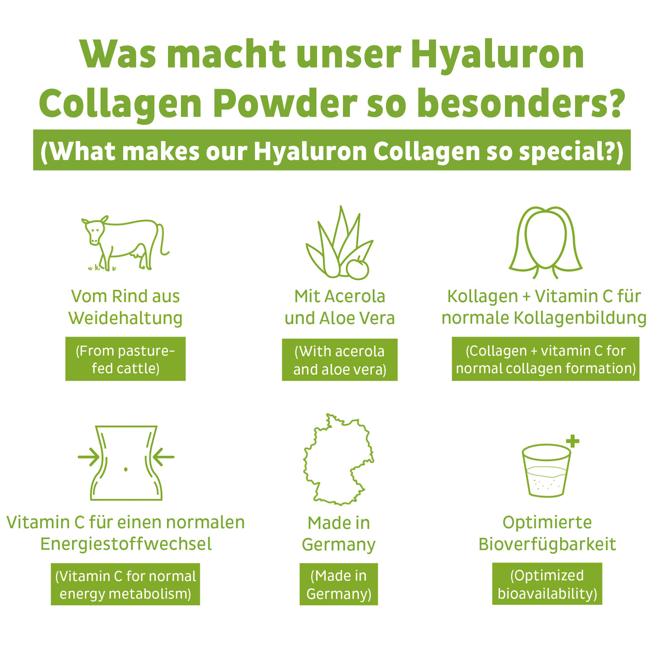 Colágeno Hyaluron en polvo