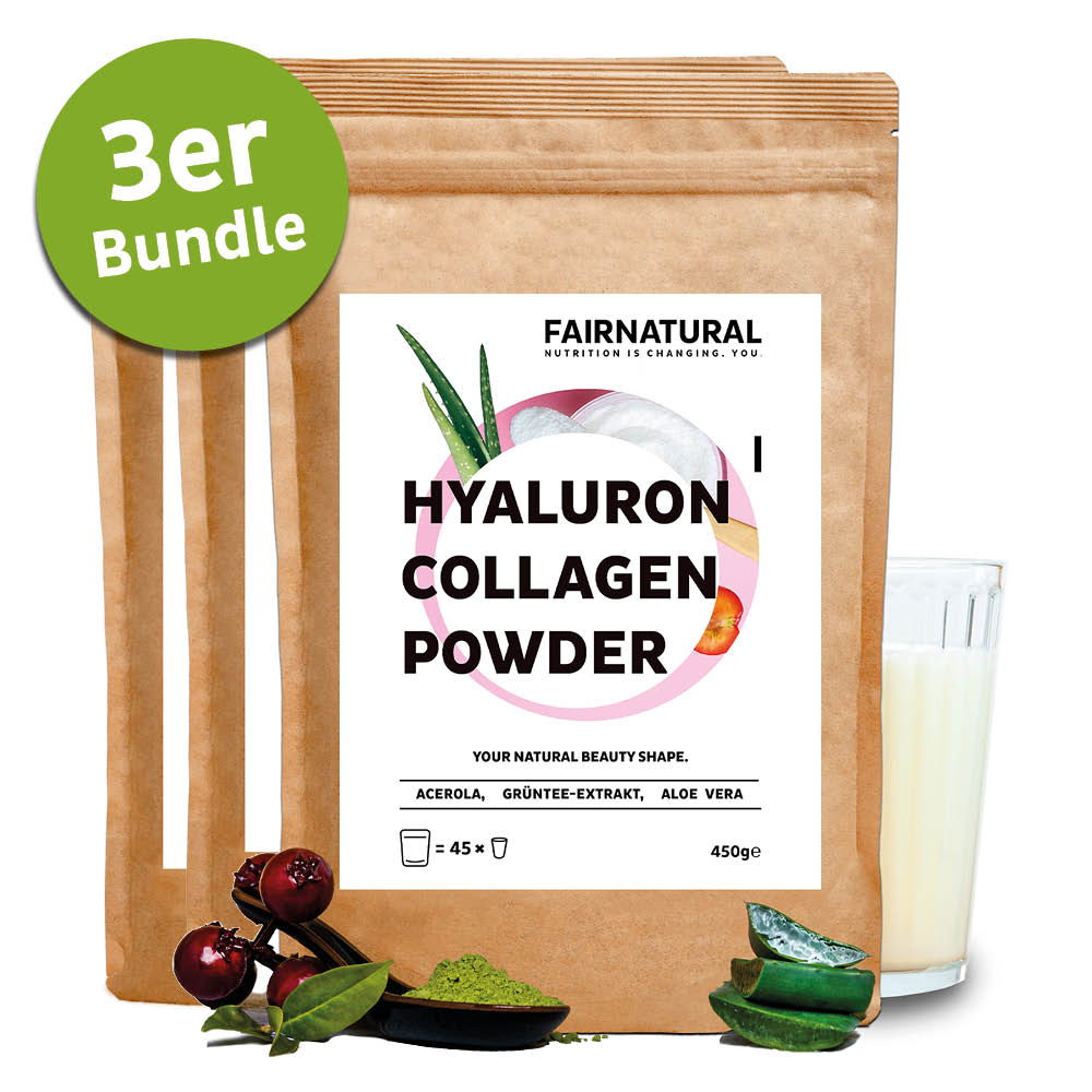 Colágeno Hialurónico en Polvo 3-Pack (1350g)